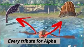 Ark-  The Center boss tribute rotation