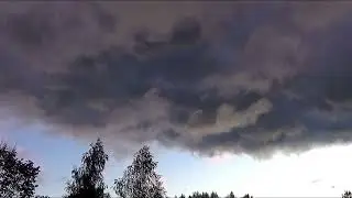 Свобода + натура. Футаж.