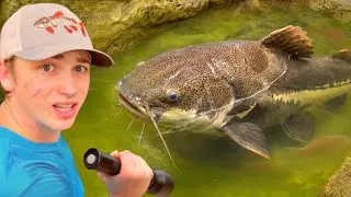 I Saved Abandoned Fish LIVING in Green Slime Pond!