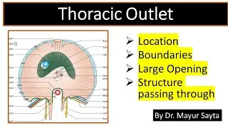 Thoracic Outlet