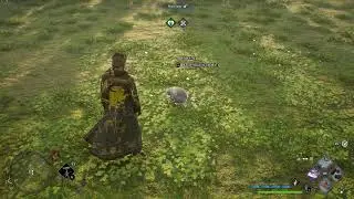 Hogwarts Legacy [11]