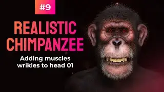 Master Zbrush: Realistic Chimpanzee Creation - Adding muscles wrikles to head 01