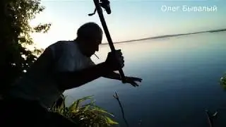 Волга Дача Караси