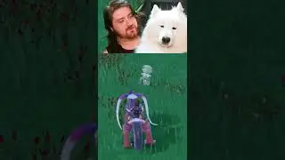 FLOOFER HAS ENTERED THE CHAT | avaddov on #Twitch