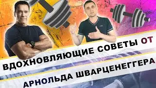 Самая вдохновляющая речь и советы от Арнольда Шварценеггера!