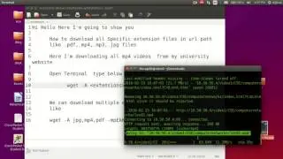 Download all same extension files from website