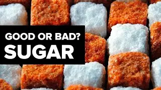 Does The Human Body NEED Sugar? // Myths and Truth About Sugar
