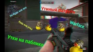 Отряд уток выдвигается на паблик Warface