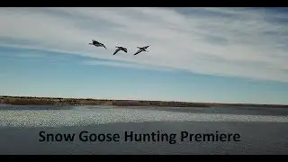 Snow Goose,Dark Goose Hunting 2020 (Premiere)