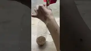 Как хранить крупу #lifehacks #лайфхаки #идея #хранениекруп #эксперименты
