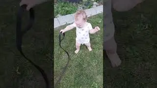 Walking Pepper
