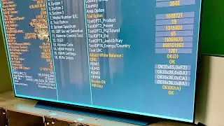 LG OLED C1 G1 C2 G2 CX C3 Service Menu (How to check the battery life)