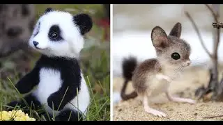 30 Adorable Needle Felted Wool Animals