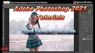 Object Selections Tool as a Standalone | Adobe Photoshop 2021 Tutorials