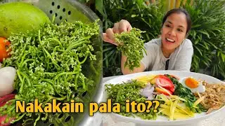 Bulaklak o bunga ng alugbati