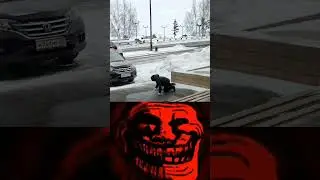 мем до слёз!