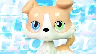LPS MV Higher