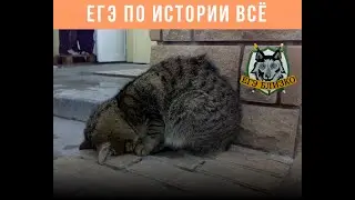 ЕГЭ по истории 2020: итоги и думы