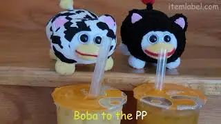 PPtrap