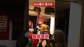 #2024 #元宵節 #舞龍舞獅