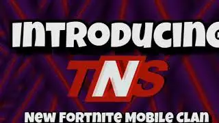 Introducing TNS) New Fortnite Mobile Clan