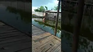 Perjuangan mendapat kan seekor ikan.
