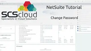 NetSuite Tutorial - Change Password