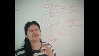 Mechanism of muscle contraction - Vijita Sharma #subscribe #youtubeshorts #like