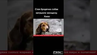 3 марта 2024 г.