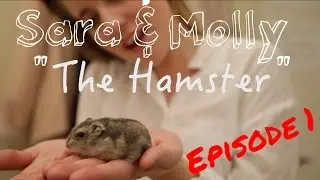 Sara & Molly - Web Series - Episode 1 