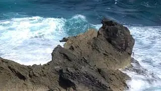 Sea Turtles in Mexico next to a Maya Lighthouse