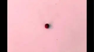 De micro a macro