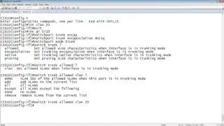 CISCO TO BROCADE VLAN TRUNKS