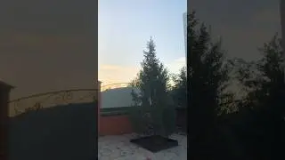 Вроде норм😗 