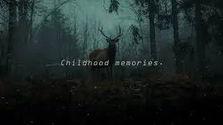 C h i l d h o o d    m e m o r i e s.