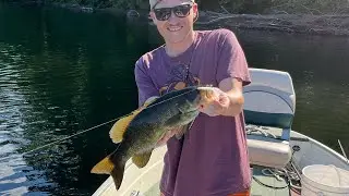 Small Mouth Fishing: Delaware River