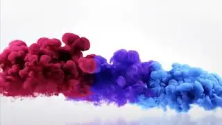 Buytex Network. Новости компании за Ноябрь