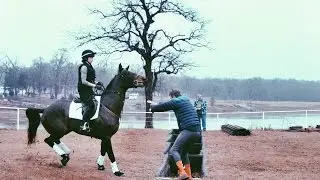 MY HORSE RAN OVER BOYD MARTIN