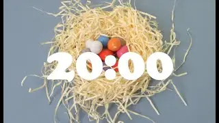 20 Minute Countdown Timer | EASTER EGG NEST, SPRING | Alarm Bell Tone