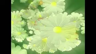 FREE VINTAGE RUSSIAN WEDDING 3D ANIMATION 2 | FREE VINTAGE WEDDING 3D ANIMATION