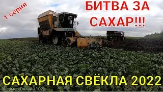 Уборка сахарной свёклы 2022 в Башкирии.Sugar beet harvest 2022. Будни тракториста. Деревенская жизнь