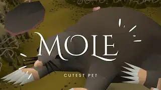 Hunting For The Giant Mole Pet In Old School Runescape