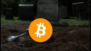 MEME BITCOIN NEVER DIES (100k BTC)