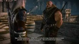 The Witcher 2 PC 