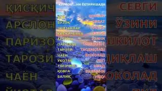 БУРЖЛАР ХАҚИДА ХАҚИҚАТЛАР 