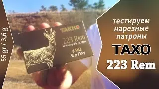Тест нарезных патронов ТАХО 223 Remington, пуля V-MAX 3,6 г