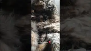 мама и доча ❤