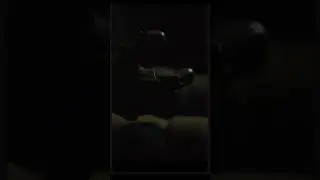 FNaF Movie Unreleased Scene