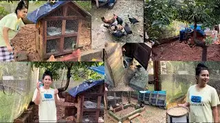 എന്റെ കോഴി ഫാം | MY KOZHI FARM | DEVELOPMENT | AT HOME |