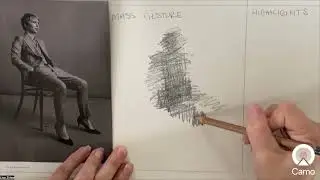 Shape Studies